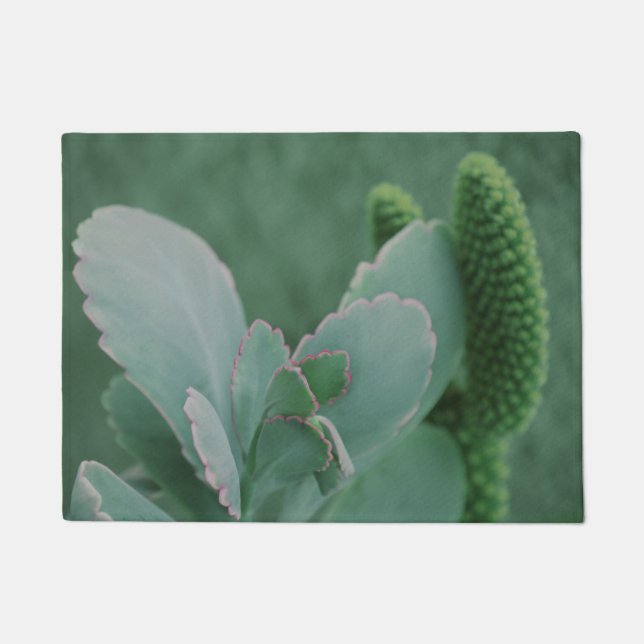 Schöne Wüste Pflanze Art Foto Fußmatte (Vorderseite)