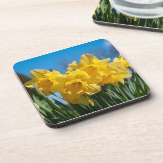 Schöne Yellow Daffodien Getränkeuntersetzer