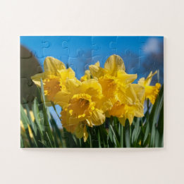 Schöne Yellow Daffodien Puzzle