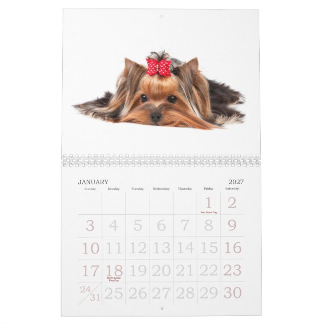 Schöne Yorkshire-Terrier Kalender (Jan 2027)