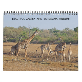 SCHÖNE ZAMBIEN UND BOTSWANA WILDLIFE KALENDER