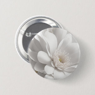 Schöne zarte weiße Blume Button