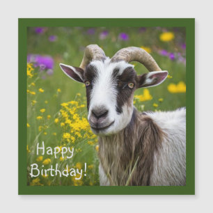 Schöne Ziege Magnetkarte