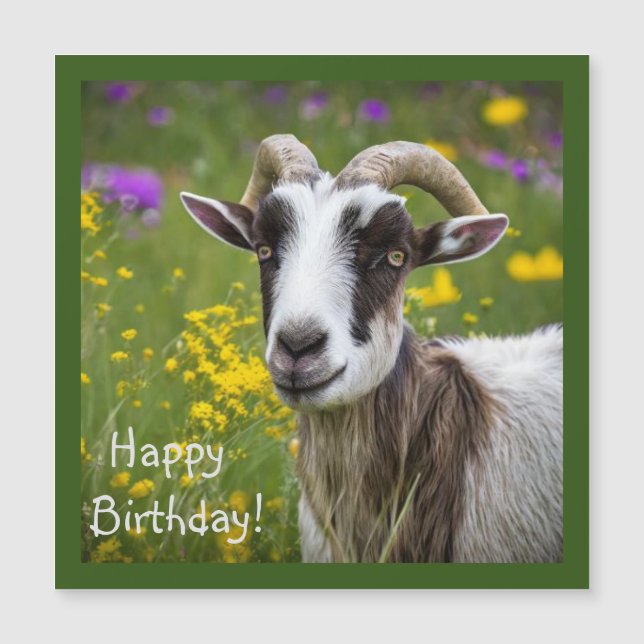 Schöne Ziege Magnetkarte (Vorderseite)