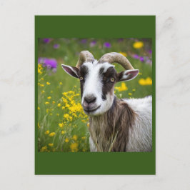 Schöne Ziege Postkarte