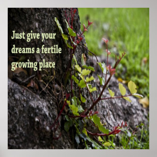 Schöne Zitate Poster