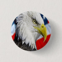 Schöner Adlerkopf und eine amerikanische Flagge 1