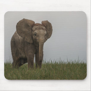 Schöner afrikanischer Bush-Elephant Mousepad