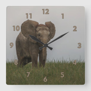 Schöner afrikanischer Bush-Elephant Quadratische Wanduhr