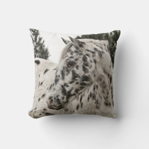 Schöner Appaloosa-Pferd, Western Kissen
