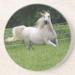 Schöner arabischer Stuten-Untersetzer - 2 Untersetzer