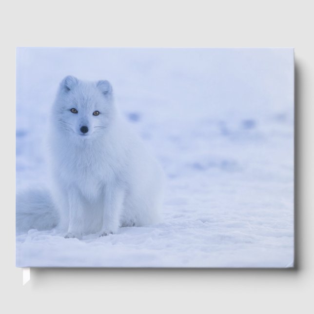 Schöner arktischer Fox Gästebuch (Vorderseite)