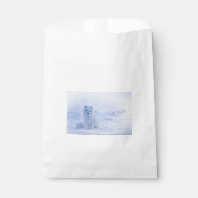 Schöner arktischer Fox Geschenktütchen (Vorderseite)