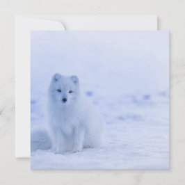 Schöner arktischer Fox Karte