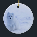 Schöner arktischer Fox Keramik Ornament<br><div class="desc">Design zeigt ein Foto eines arktischen Fuchses,  der vor Ort in Island aufgenommen wurde.</div>