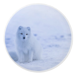 Schöner arktischer Fox Keramikknauf