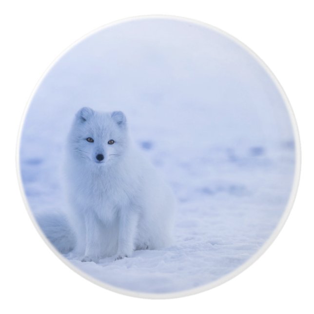 Schöner arktischer Fox Keramikknauf (Vorderseite)