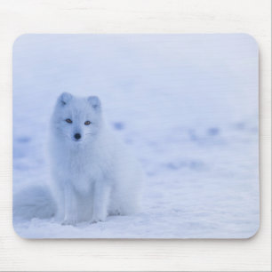 Schöner arktischer Fox Mousepad