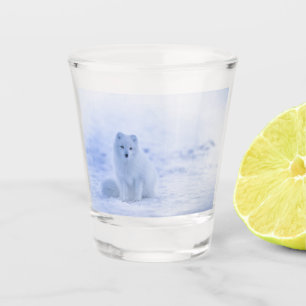 Schöner arktischer Fox Schnapsglas
