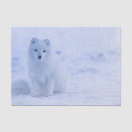 Schöner arktischer Fox Seidenpapier