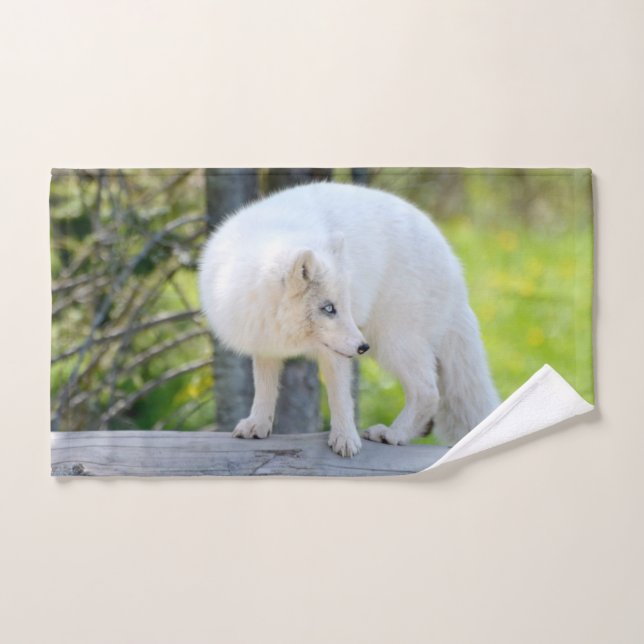 Schöner Artic Fox Handtuch (Handtuch)
