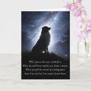 Schöner Australian Shepard Aussie Sympathie  Karte
