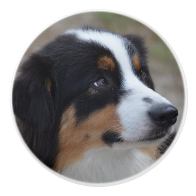 Schöner Australier Keramikknauf (Vorderseite)