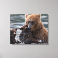 Schöner Bär und ihre Naben