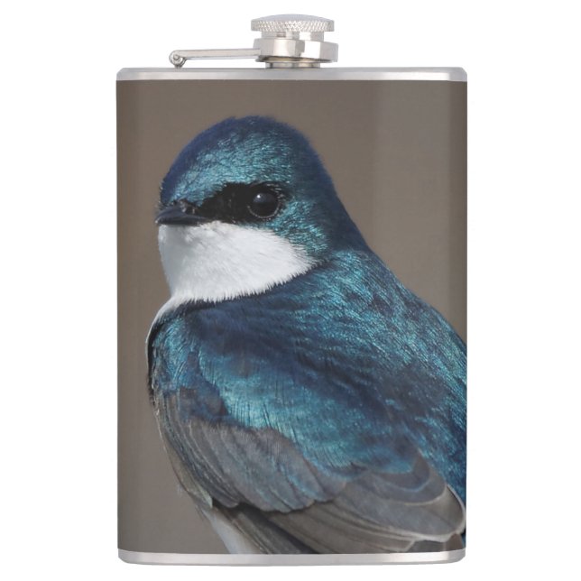 Schöner Baumschlamm Songbird auf einem Draht Flachmann (Vorderseite)