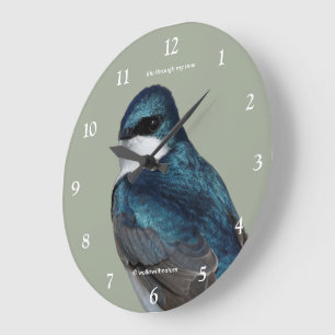 Schöner Baumschlamm Songbird auf einem Draht Große Wanduhr