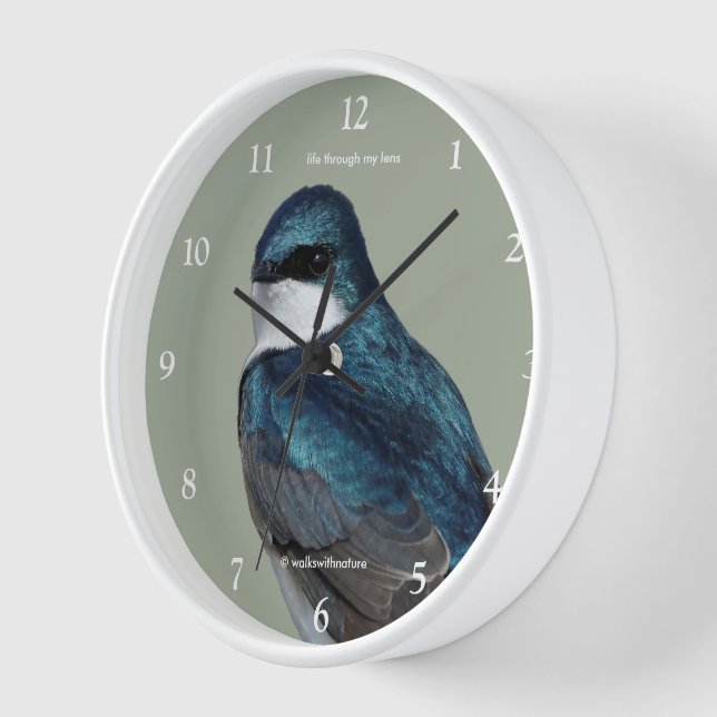 Schöner Baumschlamm Songbird auf einem Draht Uhr (Winkel)