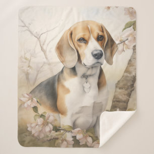 Schöner Beagle Sherpadecke