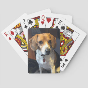 Schöner Beagle-Spielkarten Spielkarten