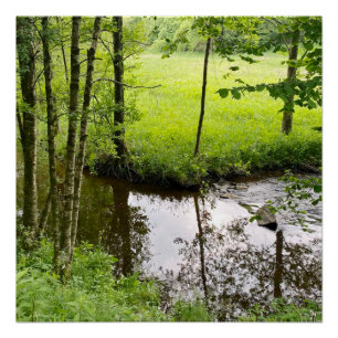 Schöner Belgischer Wald und Fluss, Reise Poster