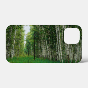 Schöner Birkenwald Case-Mate iPhone Hülle