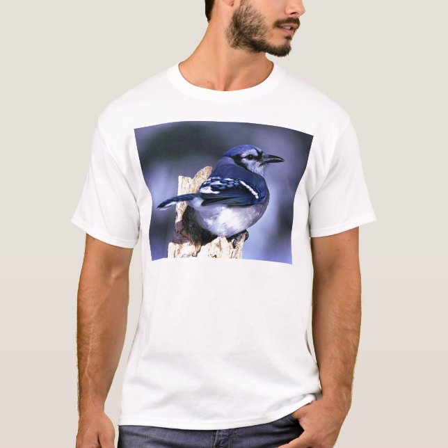 Schöner blauer Jayvogel T-Shirt (Vorderseite)