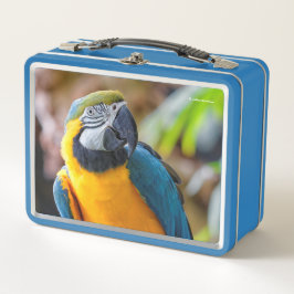 Schöner Blauer Papagei-Vogel Metall Brotdose