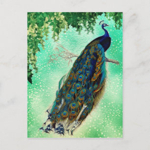 Schöner blauer Pfau Natur Vogel Schwanz Vintage Postkarte