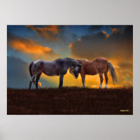 Schöner Blauer Roan und Palomino Pferde Sonnenunte