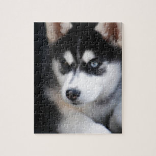 Schöner blaues Augen-sibirischer Husky 2 Puzzle