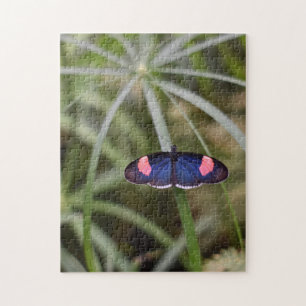 Schöner Blue Butterfly Natur Fotografy Garden Puzzle