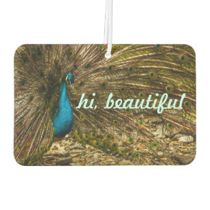 Schöner Blue Peacock mit offenen Schwanz Feathers Autolufterfrischer