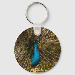 Schöner Blue Peacock mit offenen Schwanz Feathers Schlüsselanhänger