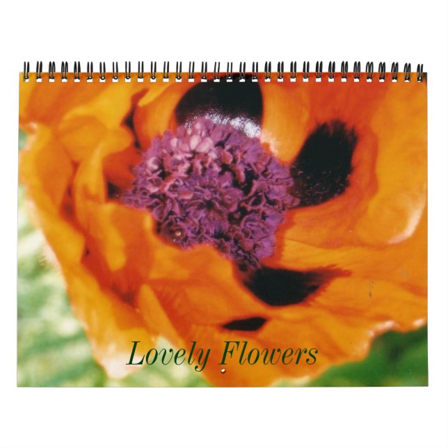 Schöner Blume-Kalender Kalender (Titelbild)