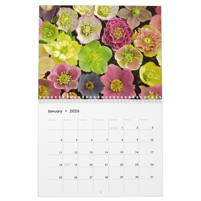 Schöner Blumenkalender 2013 Kalender (Jan 2026)