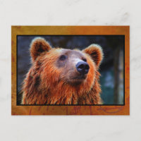 Schöner brauner Bär Portrait Wildlife Foto
