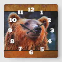 Schöner brauner Bär Portrait Wildlife Foto