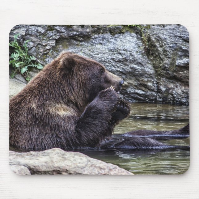 Schöner Brown-Grizzlybär Mousepad (Vorne)