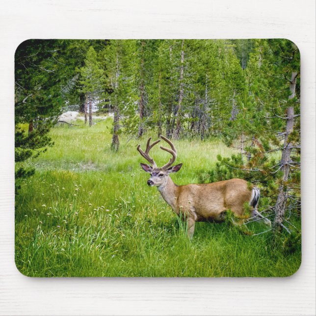 Schöner Buck im Wiesen Mousepad (Vorne)