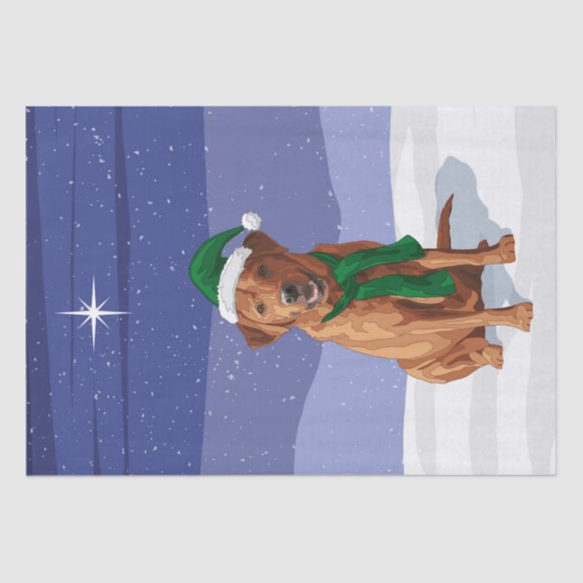 Schöner Buckskin Pinto Sinti und Roma Vanner Entwu Seidenpapier (Vorderseite)